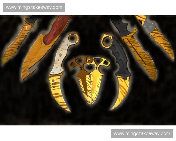 《探索CSGO黑色刀的魅力与市场价值:为何它成为玩家们的收藏珍品》 《探索CSGO黑色刀的魅力与市场价值:为何它成为玩家们的收藏珍品》
